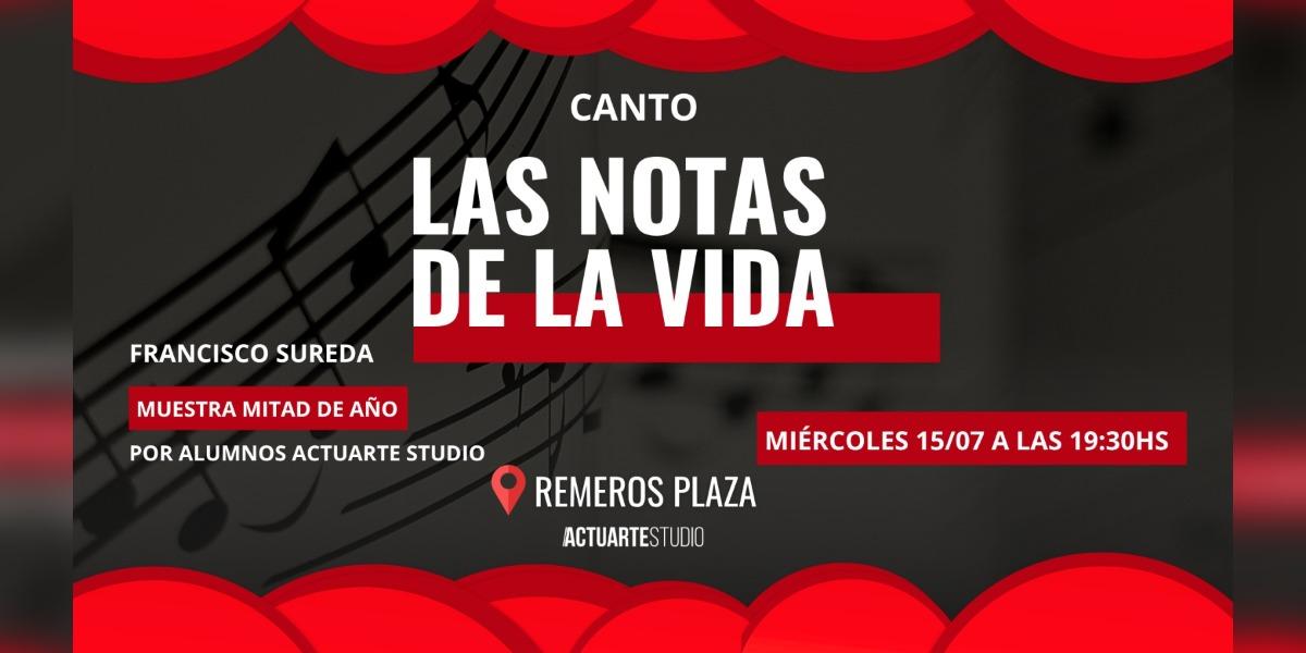 Las notas de la vida